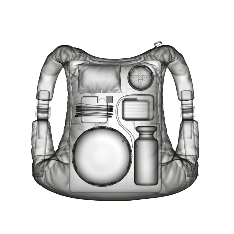 /stempack/xray/xray1200.webm